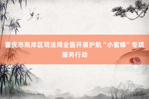 重庆市南岸区司法局全面开展护航“小蜜蜂”专项服务行动