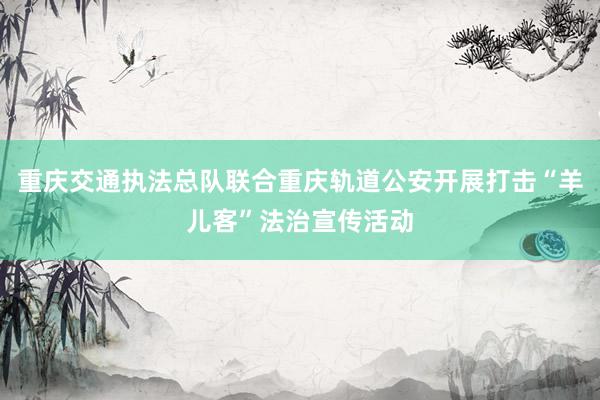 重庆交通执法总队联合重庆轨道公安开展打击“羊儿客”法治宣传活动