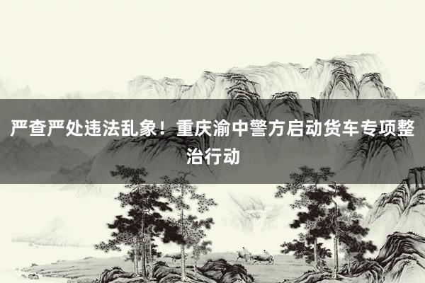 严查严处违法乱象!重庆渝中警方启动货车专项整治行动