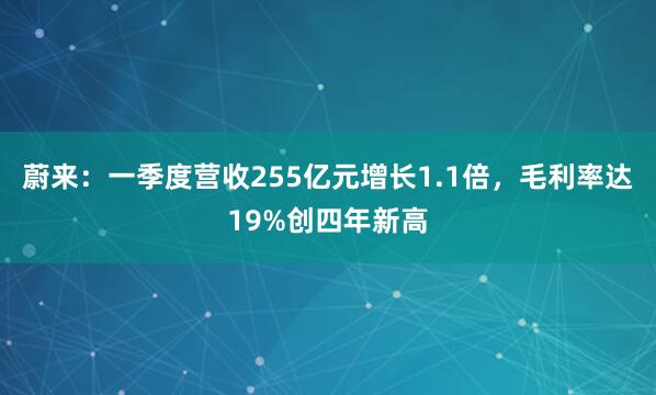 蔚来：一季度营收255亿元增长1.1倍，毛利率达19%创四年新高