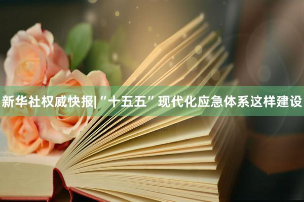 新华社权威快报|“十五五”现代化应急体系这样建设