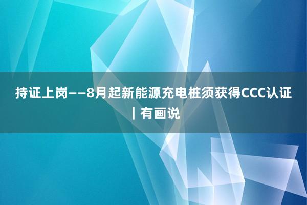 持证上岗——8月起新能源充电桩须获得CCC认证｜有画说