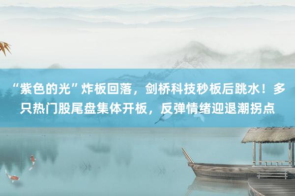 “紫色的光”炸板回落，剑桥科技秒板后跳水！多只热门股尾盘集体开板，反弹情绪迎退潮拐点