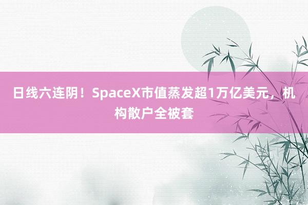 日线六连阴！SpaceX市值蒸发超1万亿美元，机构散户全被套