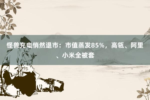 怪兽充电悄然退市：市值蒸发85%，高瓴、阿里、小米全被套