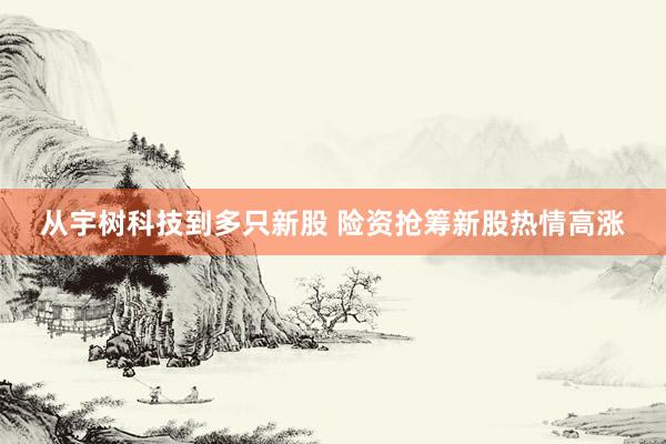 从宇树科技到多只新股 险资抢筹新股热情高涨