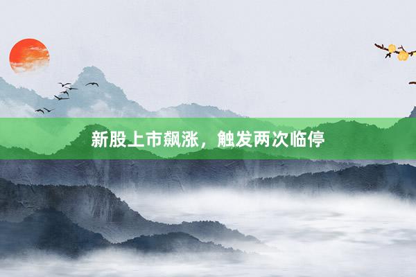 新股上市飙涨,触发两次临停