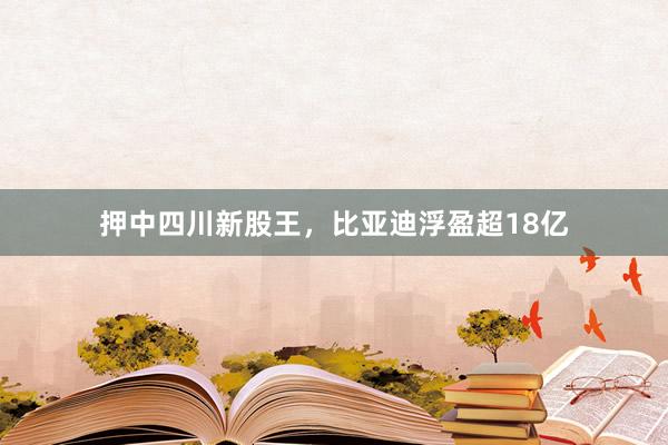 押中四川新股王，比亚迪浮盈超18亿