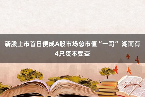 新股上市首日便成A股市场总市值“一哥” 湖南有4只资本受益
