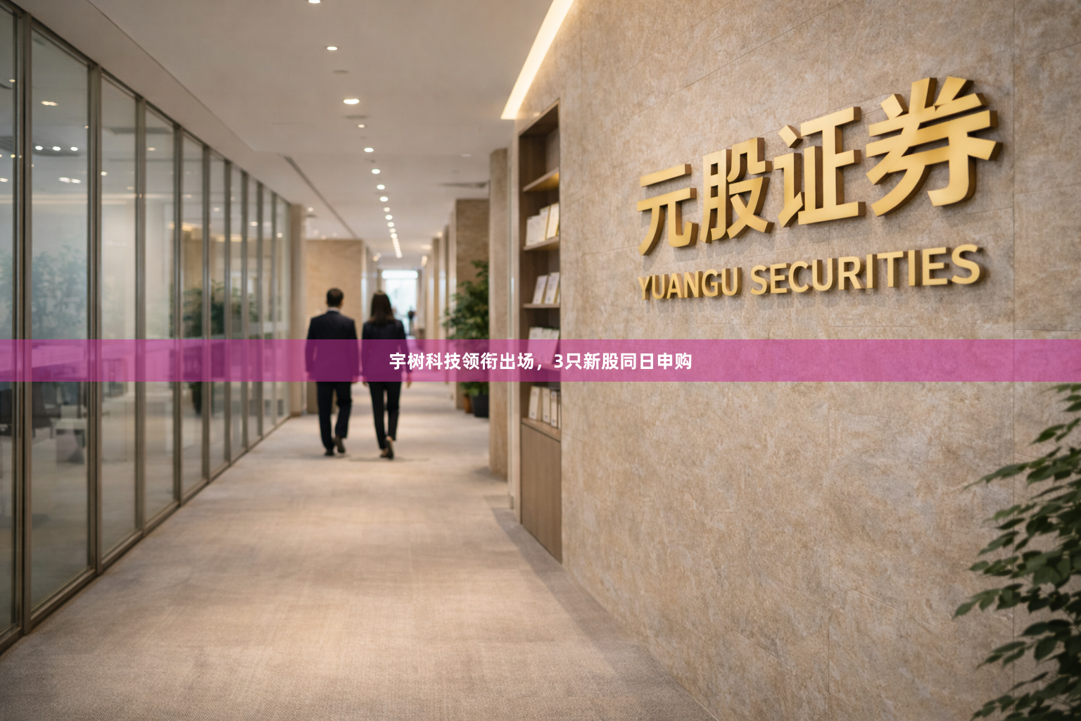 宇树科技领衔出场，3只新股同日申购