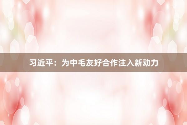 习近平：为中毛友好合作注入新动力