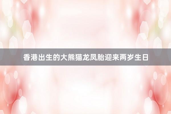 香港出生的大熊猫龙凤胎迎来两岁生日