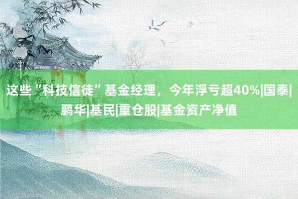这些“科技信徒”基金经理,今年浮亏超40%|国泰|鹏华|基民|重仓股|基金资产净值