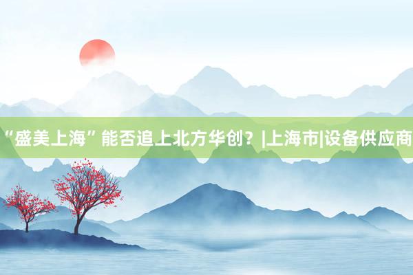 “盛美上海”能否追上北方华创?|上海市|设备供应商