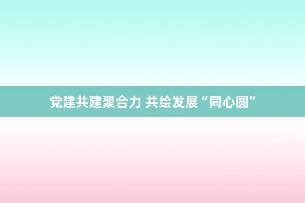 党建共建聚合力 共绘发展“同心圆”