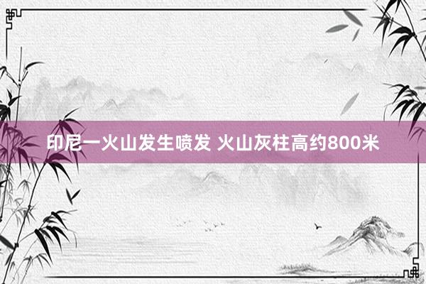 印尼一火山发生喷发 火山灰柱高约800米
