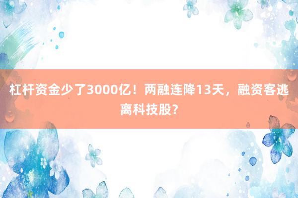 杠杆资金少了3000亿！两融连降13天，融资客逃离科技股？