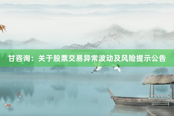 甘咨询：关于股票交易异常波动及风险提示公告