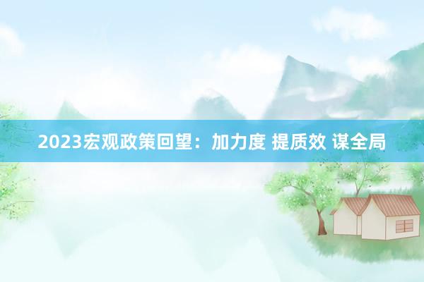 2023宏观政策回望：加力度 提质效 谋全局