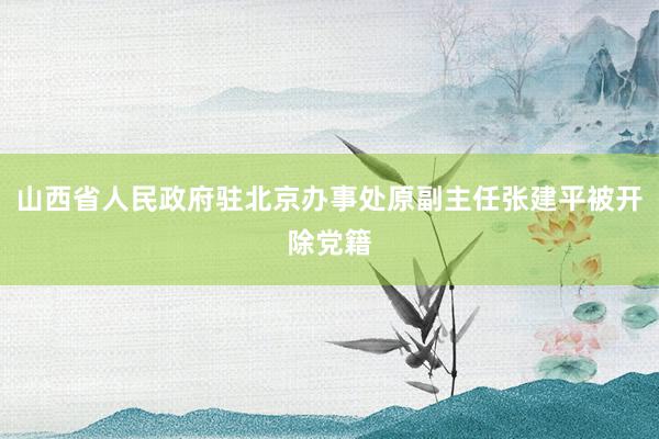 山西省人民政府驻北京办事处原副主任张建平被开除党籍