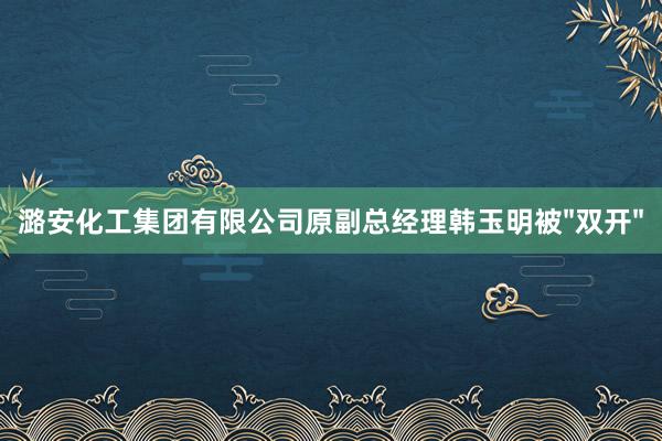 潞安化工集团有限公司原副总经理韩玉明被"双开"