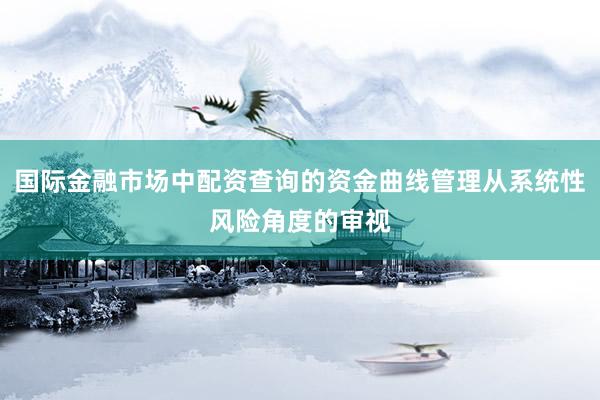 国际金融市场中配资查询的资金曲线管理从系统性风险角度的审视
