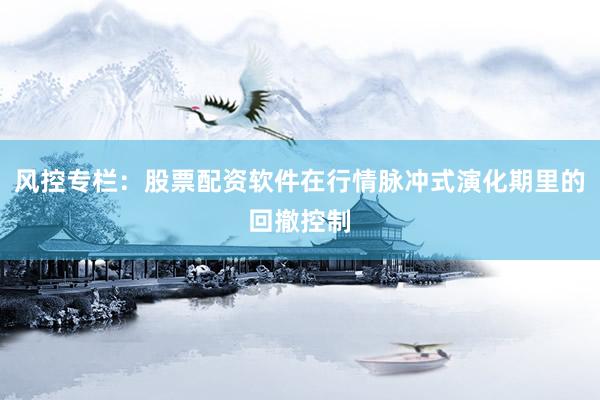 风控专栏：股票配资软件在行情脉冲式演化期里的回撤控制