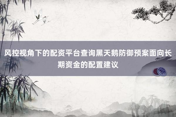 风控视角下的配资平台查询黑天鹅防御预案面向长期资金的配置建议