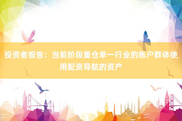 投资者报告：当前阶段重仓单一行业的账户群体使用配资导航的资产