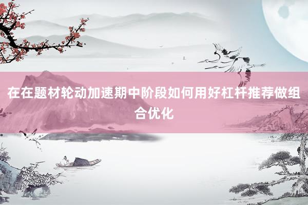 在在题材轮动加速期中阶段如何用好杠杆推荐做组合优化