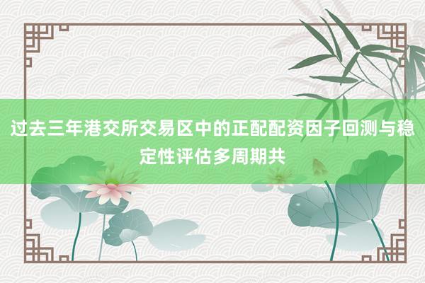 过去三年港交所交易区中的正配配资因子回测与稳定性评估多周期共