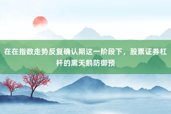 在在指数走势反复确认期这一阶段下，股票证券杠杆的黑天鹅防御预