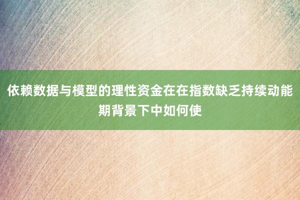 依赖数据与模型的理性资金在在指数缺乏持续动能期背景下中如何使
