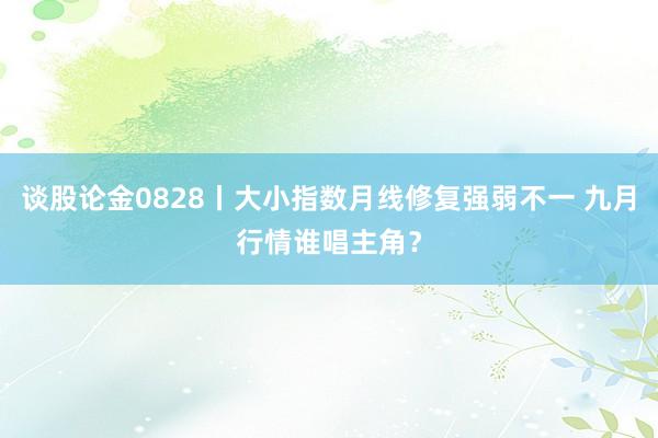 谈股论金0828丨大小指数月线修复强弱不一 九月行情谁唱主角？