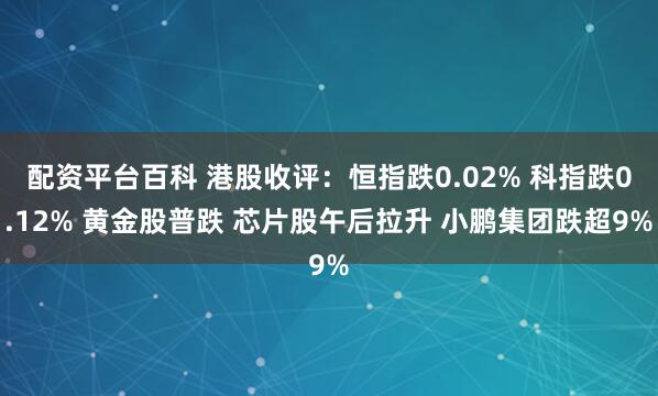 配资平台百科 港股收评：恒指跌0.02% 科指跌0.12% 黄金股普跌 芯片股午后拉升 小鹏集团跌超9%