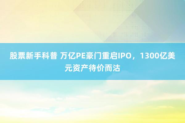 股票新手科普 万亿PE豪门重启IPO，1300亿美元资产待价而沽