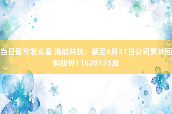 当日盈亏怎么看 海航科技：截至8月31日公司累计回购股份11628135股