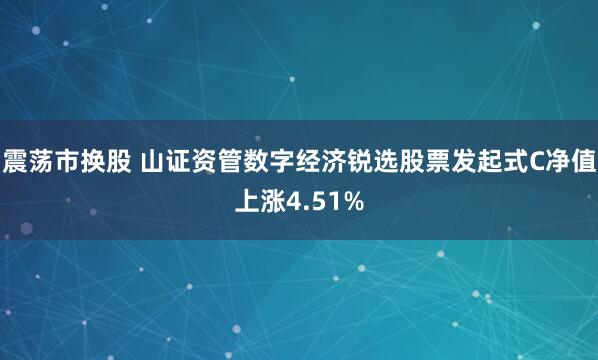震荡市换股 山证资管数字经济锐选股票发起式C净值上涨4.51%
