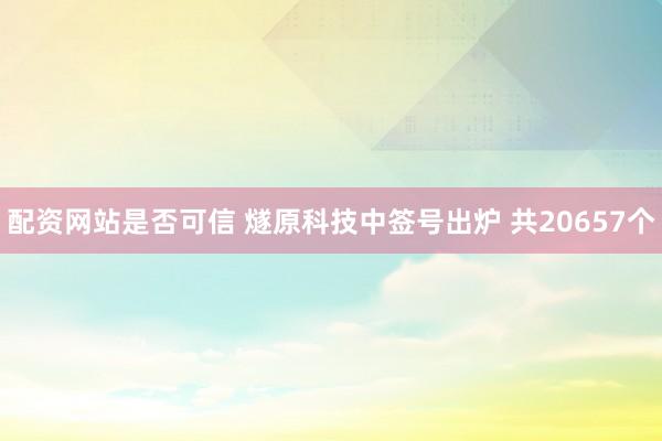 配资网站是否可信 燧原科技中签号出炉 共20657个