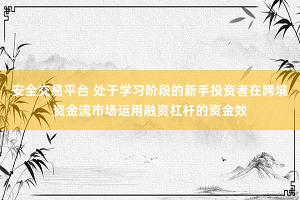 安全交易平台 处于学习阶段的新手投资者在跨境资金流市场运用融资杠杆的资金效