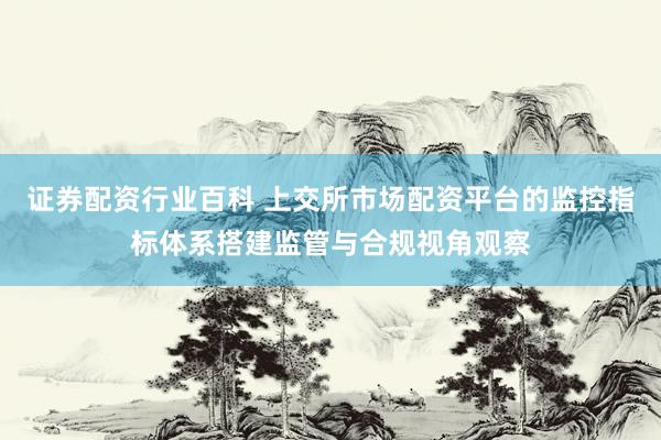 证券配资行业百科 上交所市场配资平台的监控指标体系搭建监管与合规视角观察