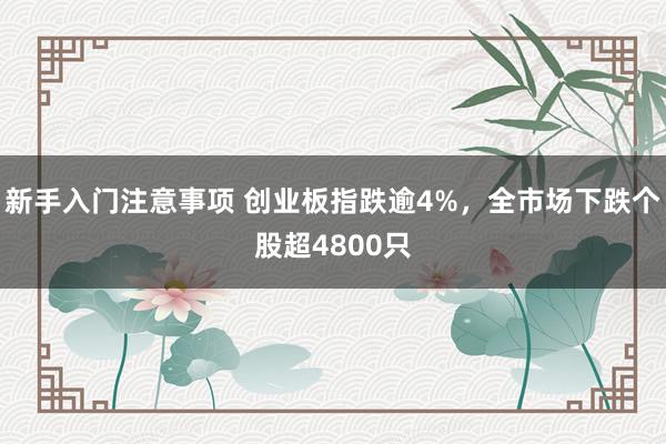 新手入门注意事项 创业板指跌逾4%，全市场下跌个股超4800只