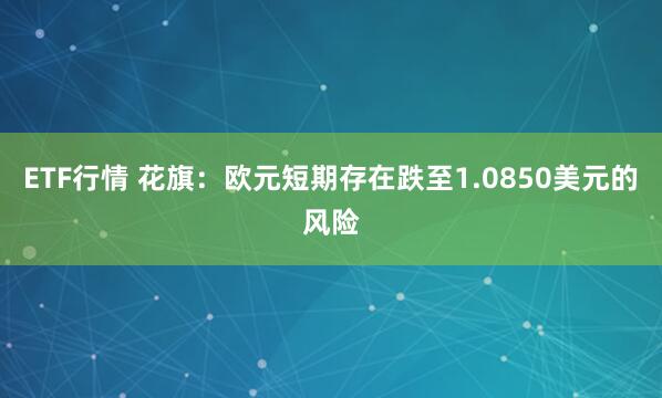 ETF行情 花旗：欧元短期存在跌至1.0850美元的风险