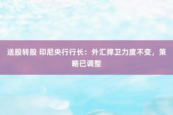送股转股 印尼央行行长：外汇捍卫力度不变，策略已调整