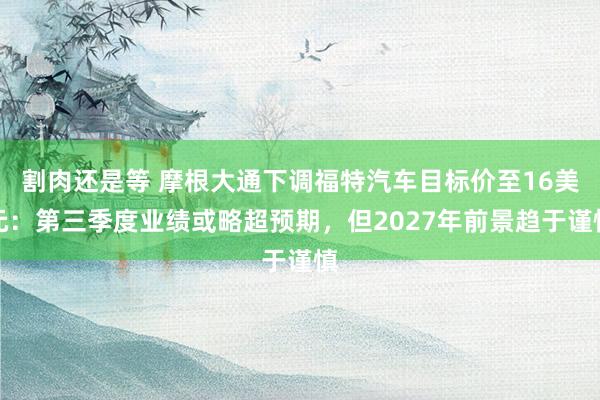割肉还是等 摩根大通下调福特汽车目标价至16美元：第三季度业绩或略超预期，但2027年前景趋于谨慎