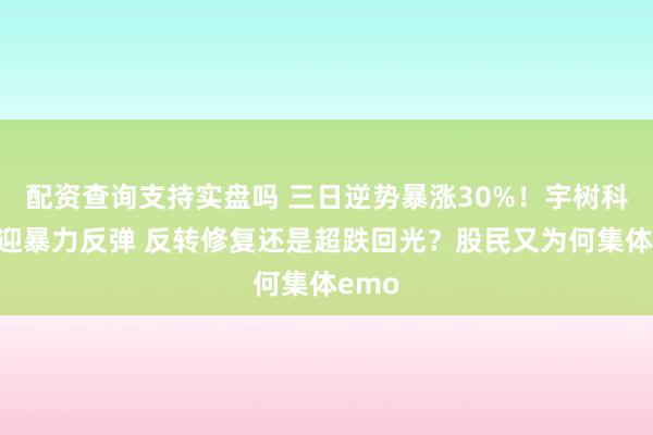 配资查询支持实盘吗 三日逆势暴涨30%！宇树科技终迎暴力反弹 反转修复还是超跌回光？股民又为何集体emo